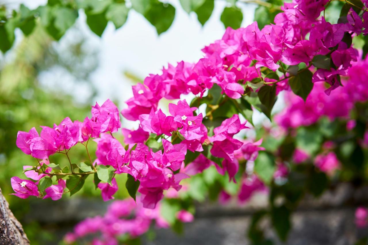 Villa Coral เปมูเตรัน ภายนอก รูปภาพ
